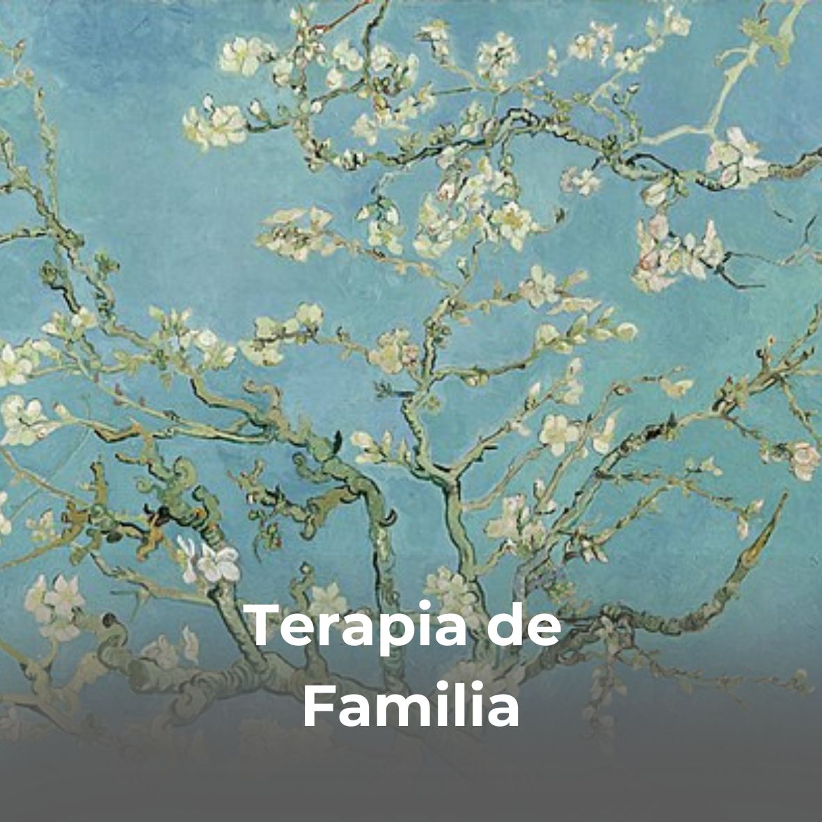 Terapia de Familia